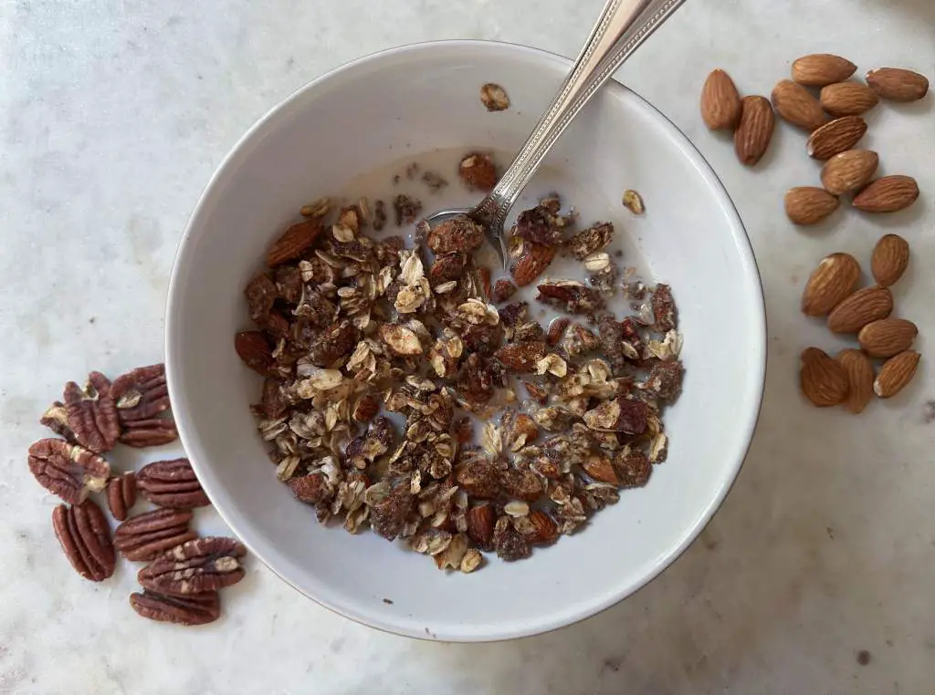 Bowl of homemade vegan granola in a bowl with almond milk