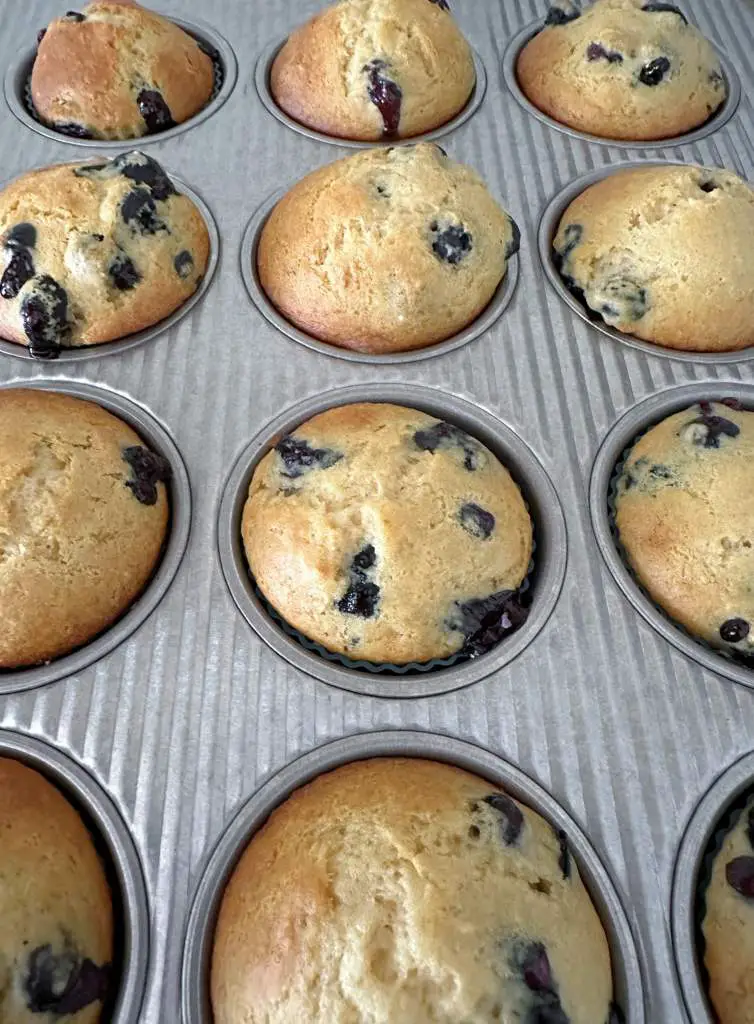 Finished easy vegan blueberry muffins in muffin tin