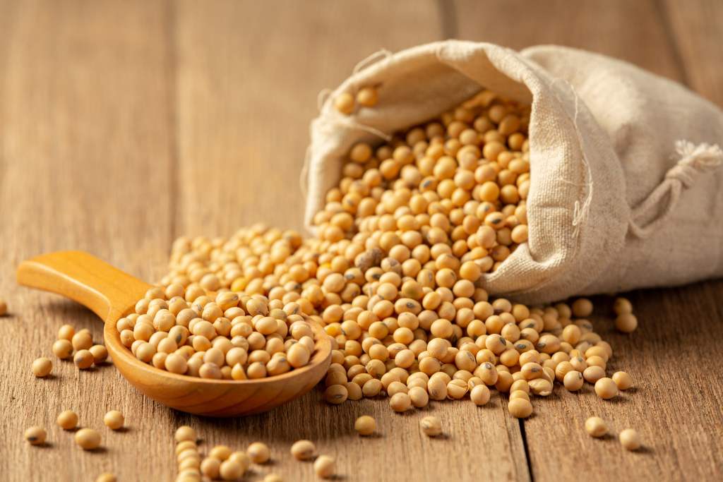 Soybeans in a bag spilled onto a wooden floor