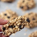 one oatmeal cookie being held to show shape and texture