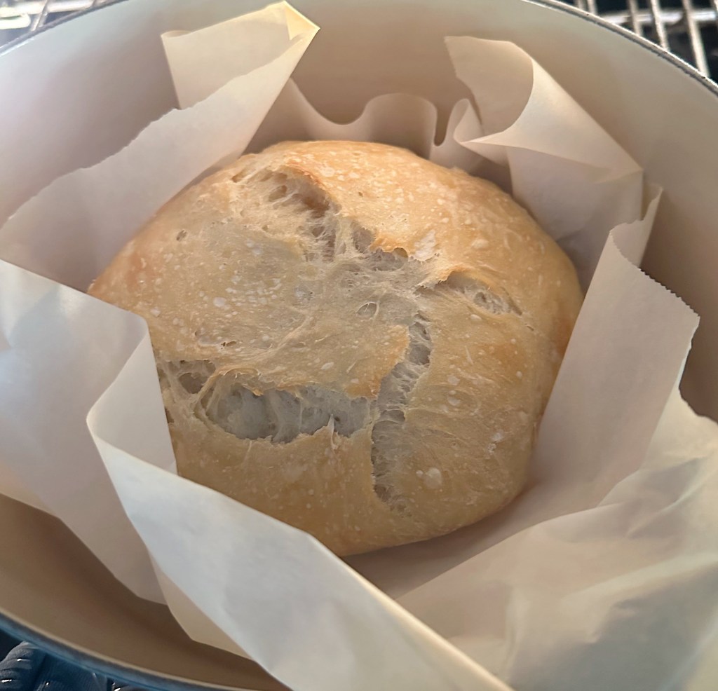 Easy no knead bread after 30 min covered 