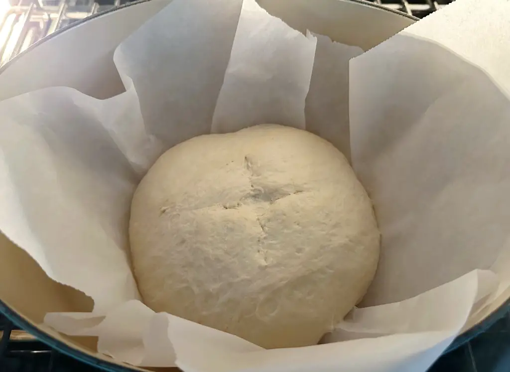 Finished no knead bread dough placed into oven
