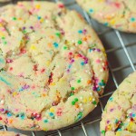 close up vegan sprinkle cookie