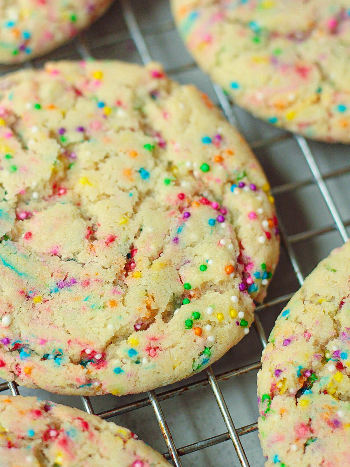 close up vegan sprinkle cookie