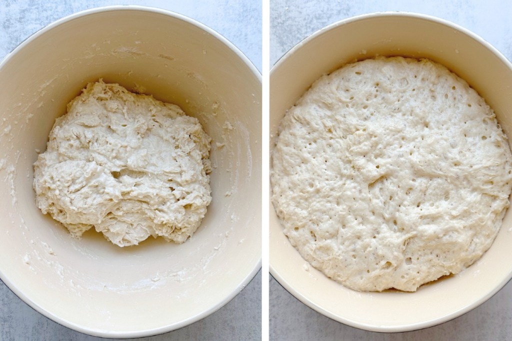 before and after first rise for cinnamon raisin dough