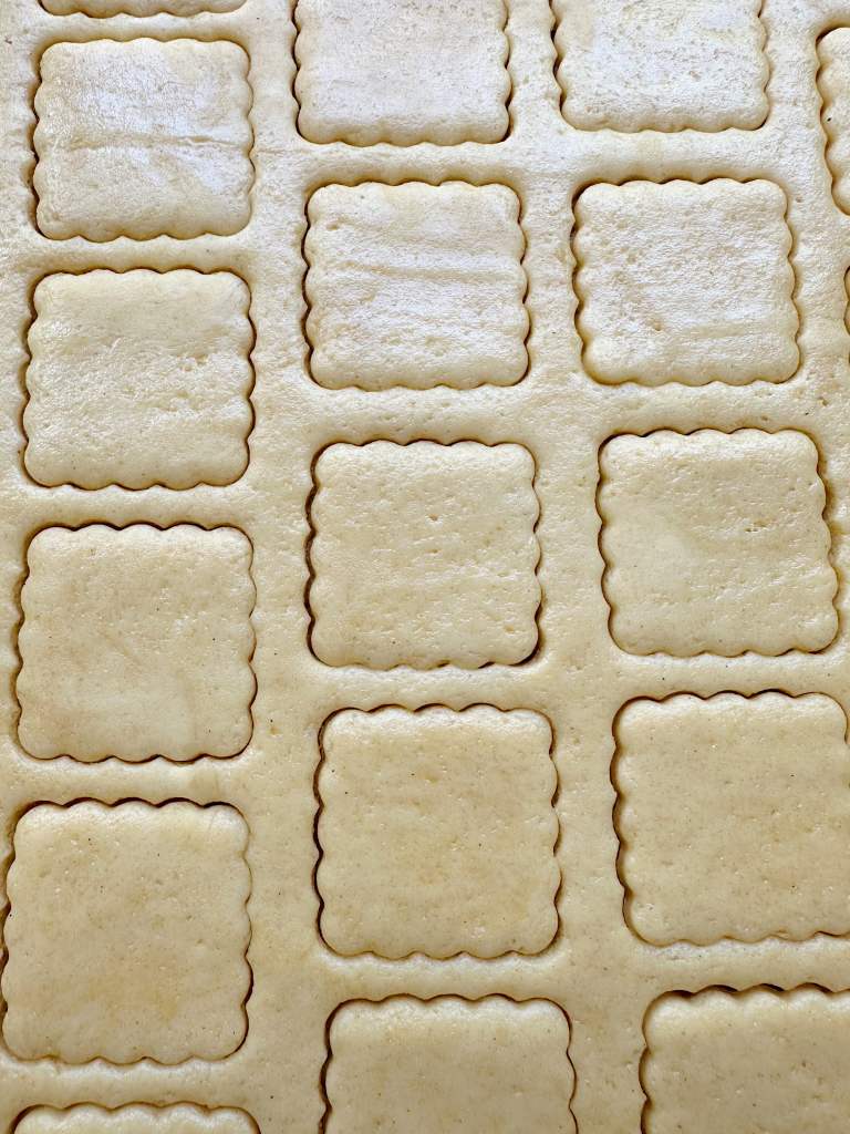 flat sheet of vegan brown sugar shortbread cookie dough with cutter shapes indented in