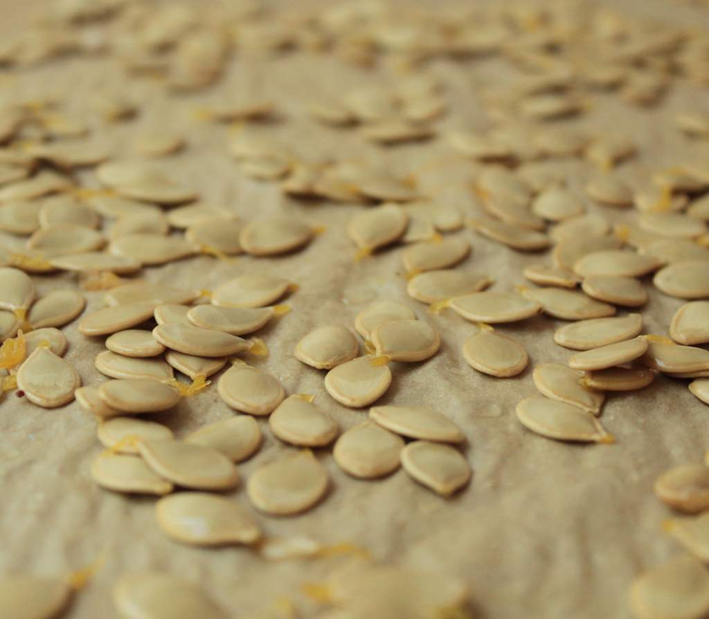 acorn squash seeds on a parchment-lined baking sheet
