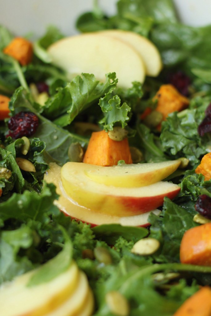 close up of vegan harvest salad with apple cider vinaigrette