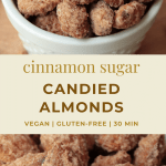 pin image for vegan cinnamon sugar candied almonds