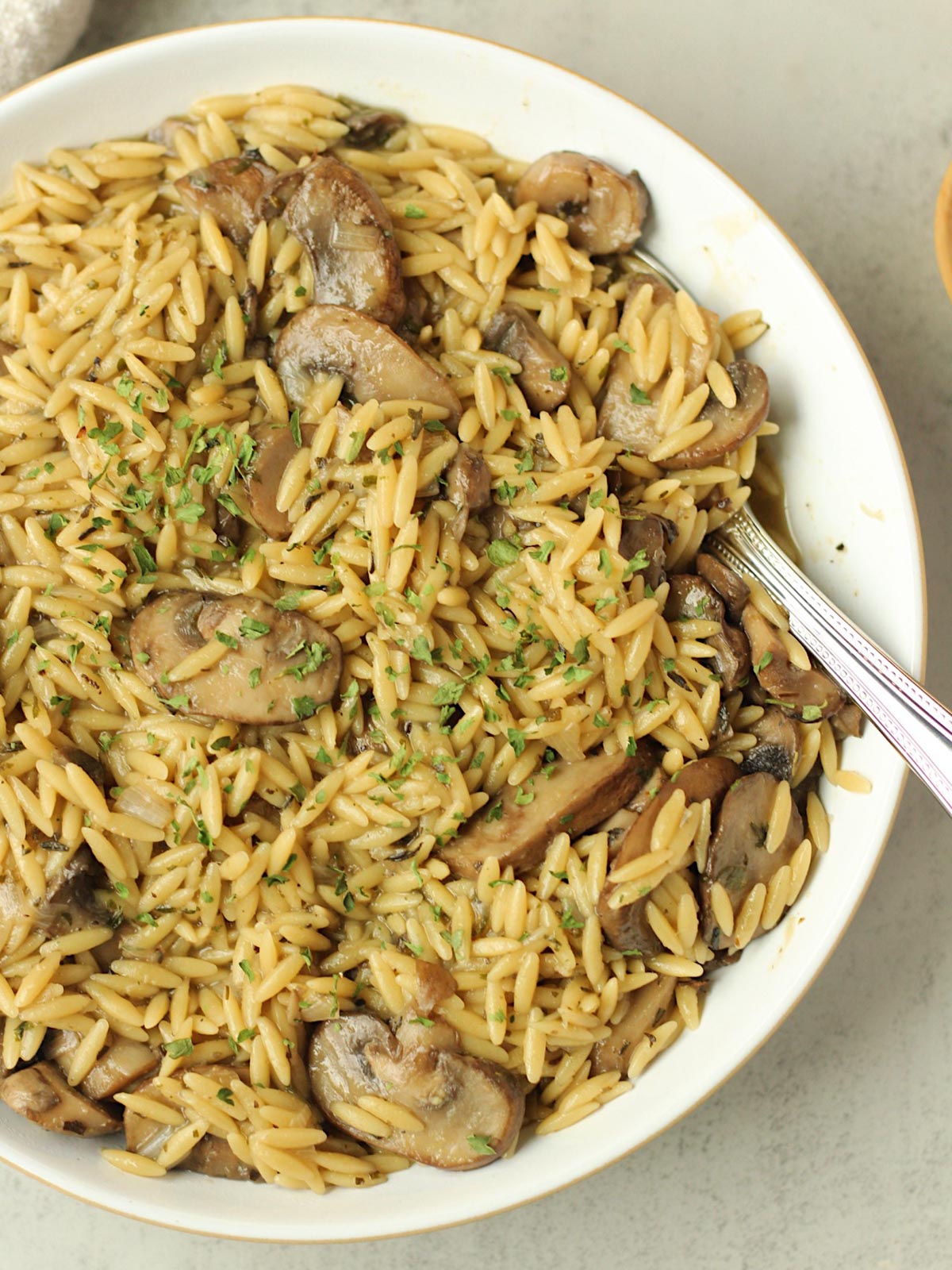 Vegan Mushroom Orzo
