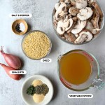 labeled ingredients photo for vegan mushroom orzo