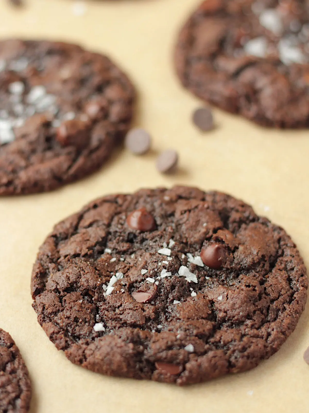 Vegan Double Chocolate Cookies