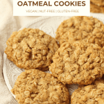 pin image for gluten-free vegan oatmeal cookies