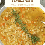 pin image for vegan pastina soup